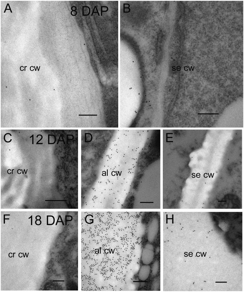 Figure 10.