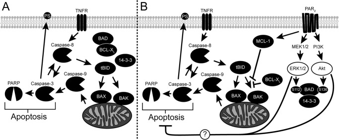 FIGURE 10.