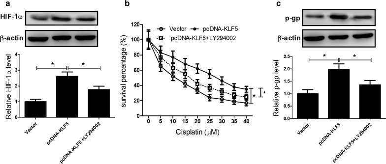 Fig. 6