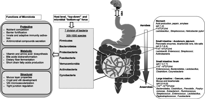 Fig. 2