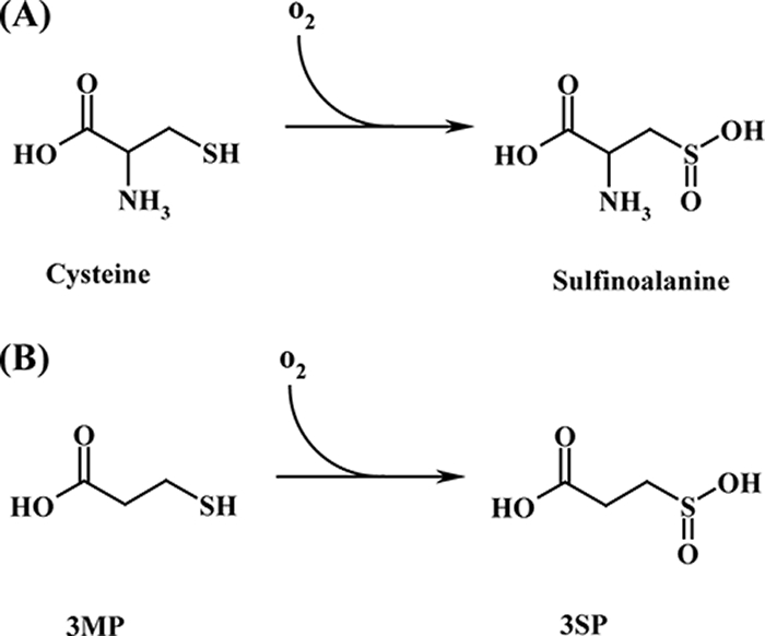 FIG. 5.