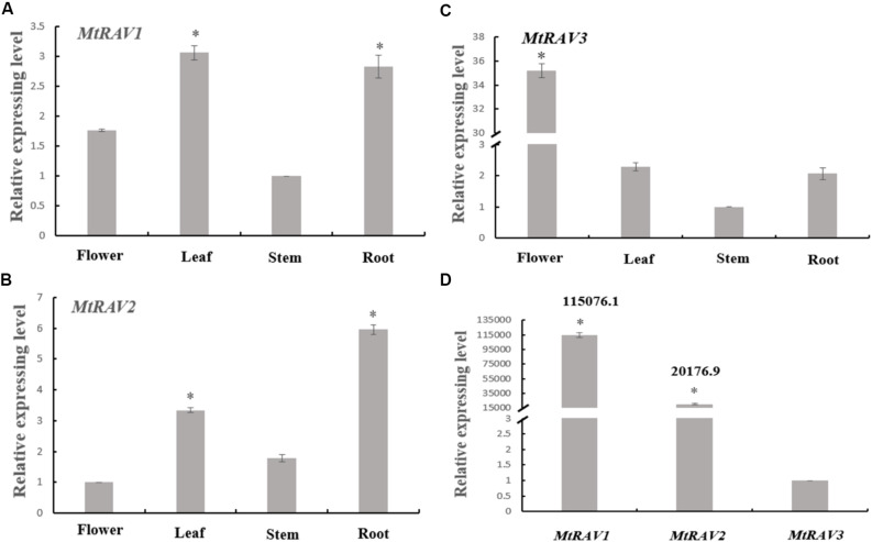 FIGURE 2