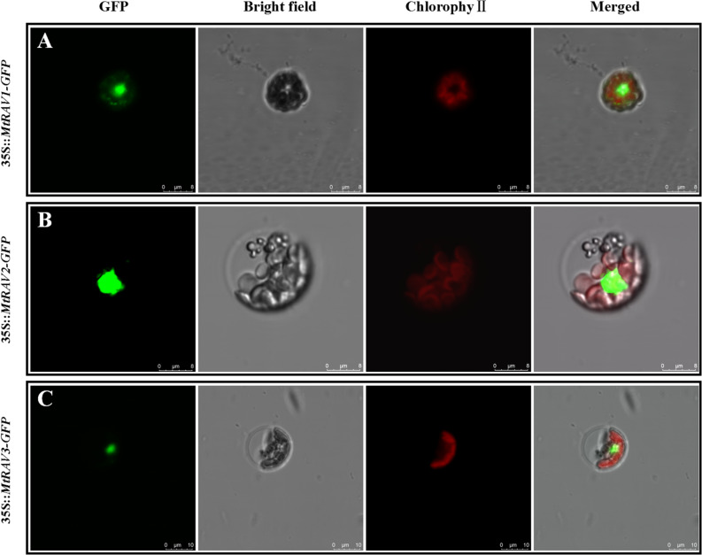 FIGURE 3