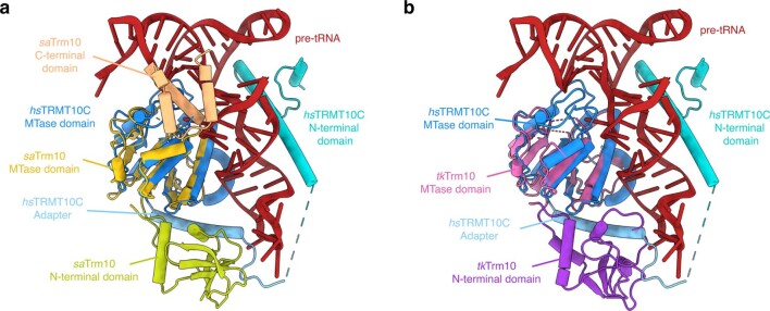 Extended Data Fig. 6