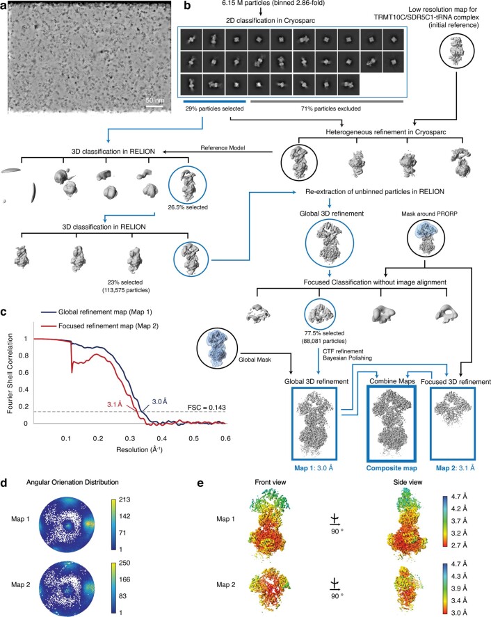 Extended Data Fig. 2