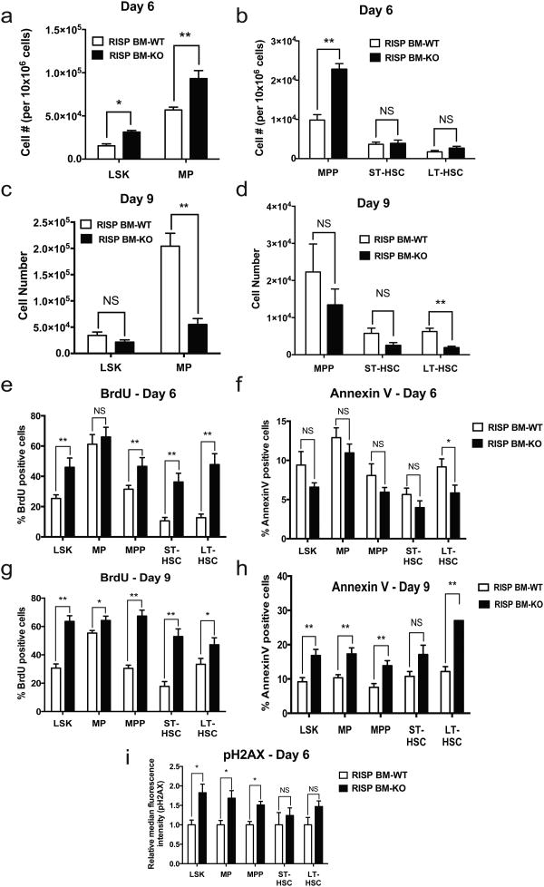 The mitochondrial respiratory chain is essential for haematopoietic ...