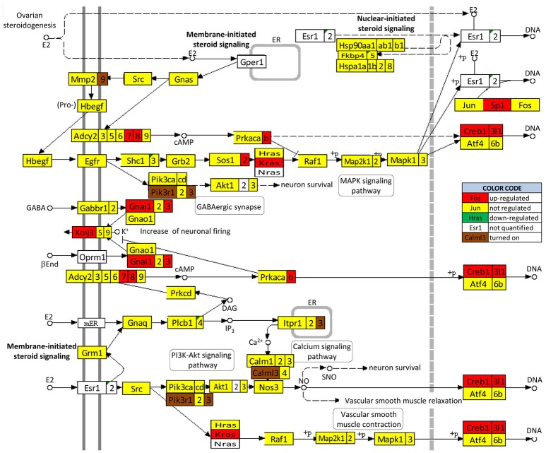 Figure 10