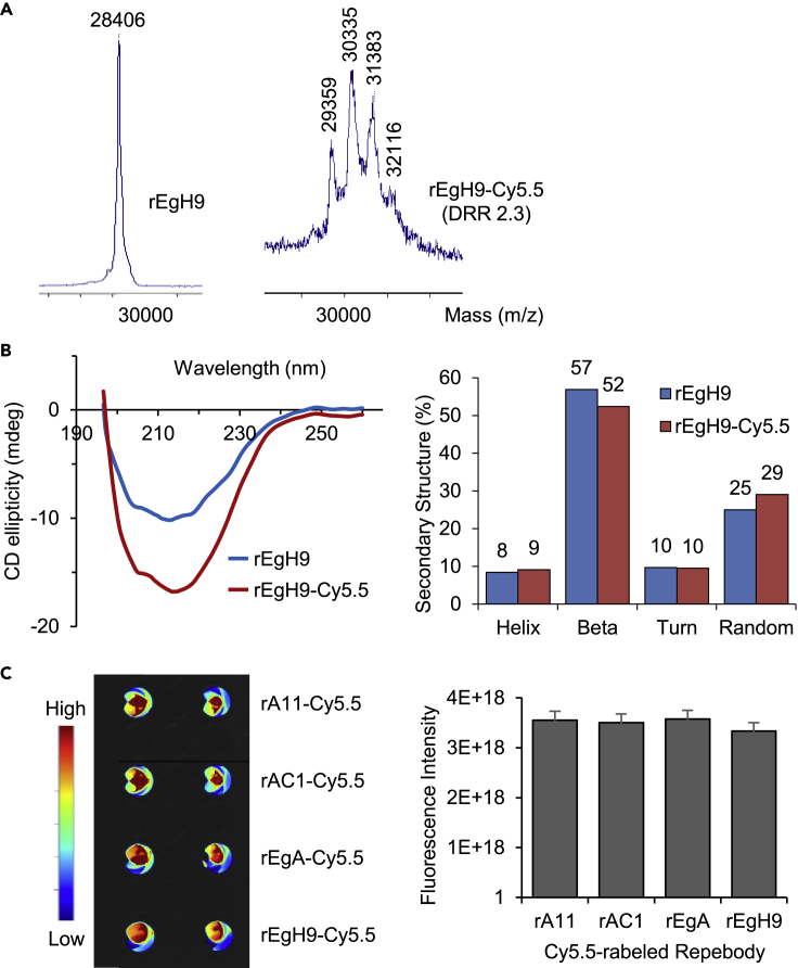 Figure 3