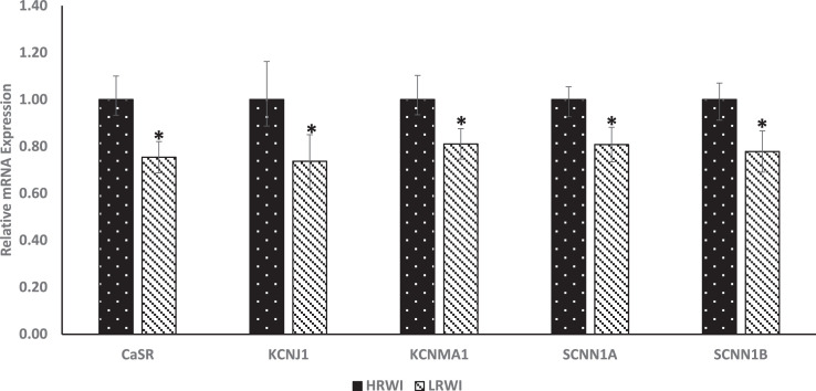 Figure 5