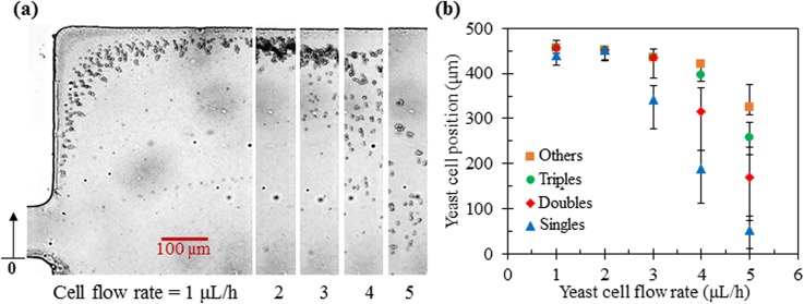 FIG. 6.