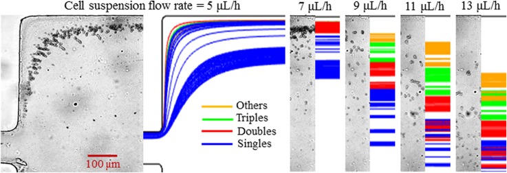 FIG. 4.