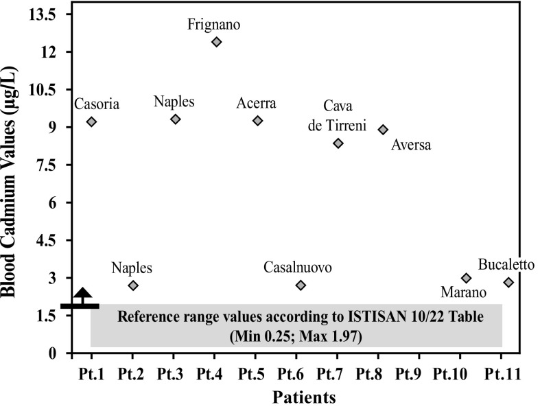 Graph 4