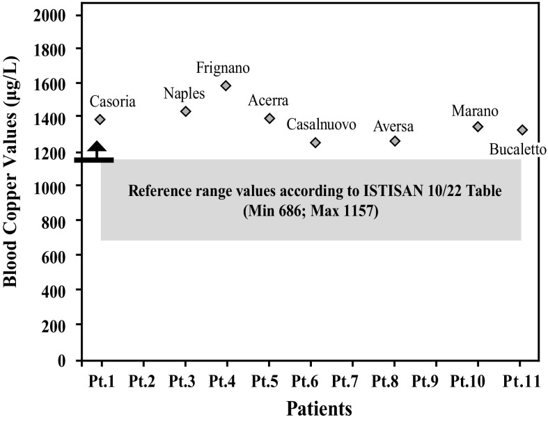 Graph 6