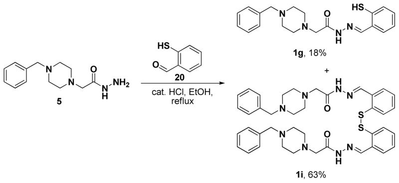 Scheme 2