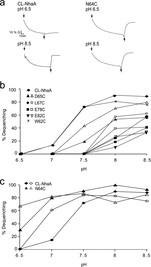 FIGURE 2.