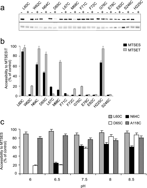 FIGURE 4.