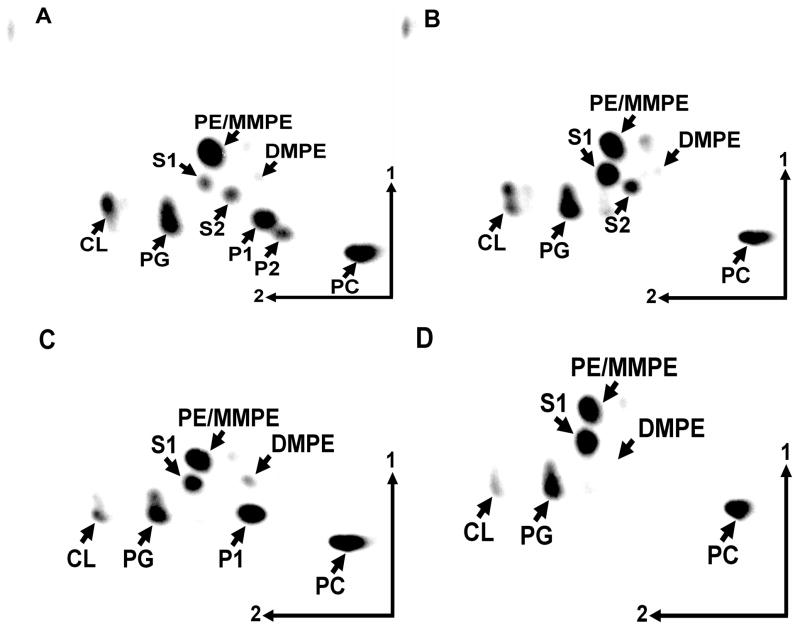 Figure 6