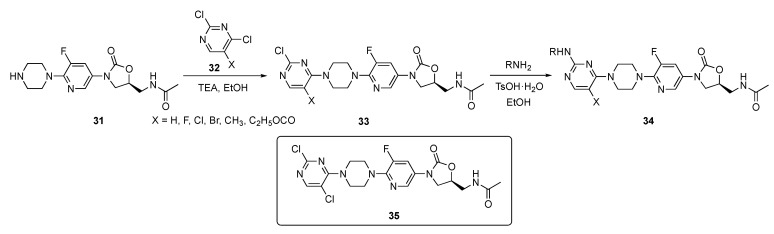 Scheme 3