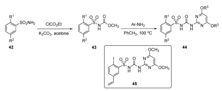 Scheme 5