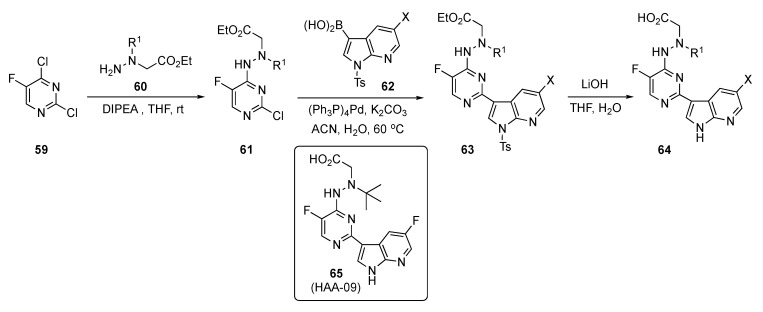 Scheme 8