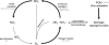 FIG. 18.