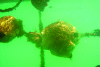 FIG. 25.