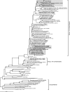 FIG. 15.