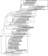FIG. 7.