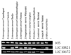 Fig. (1)