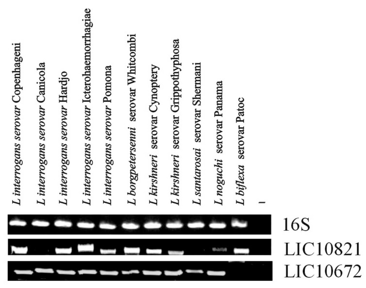 Fig. (1)