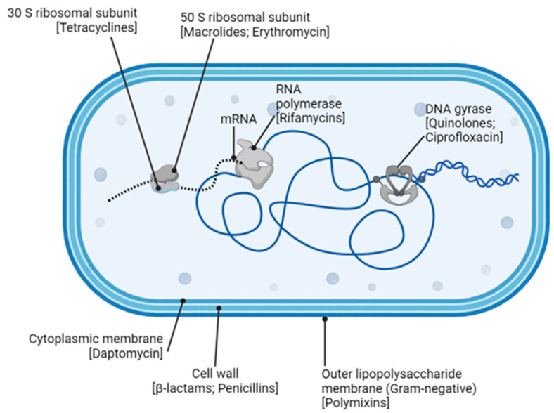 Figure 10