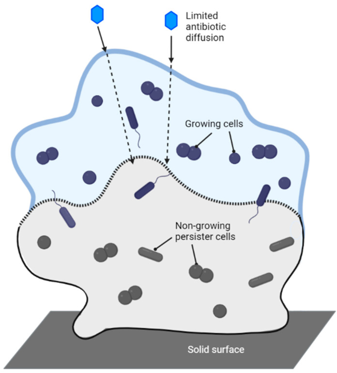 Figure 12