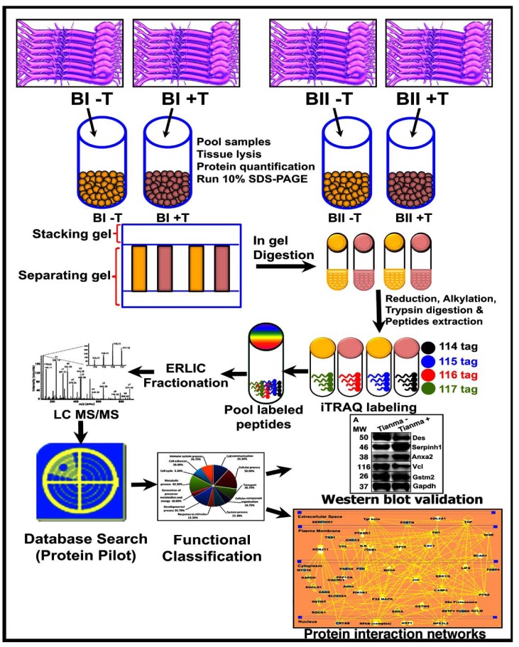 Fig. (1)