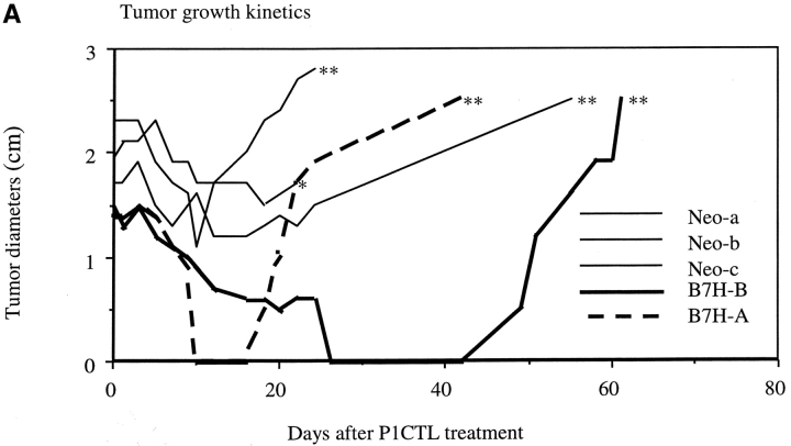 Figure 9.