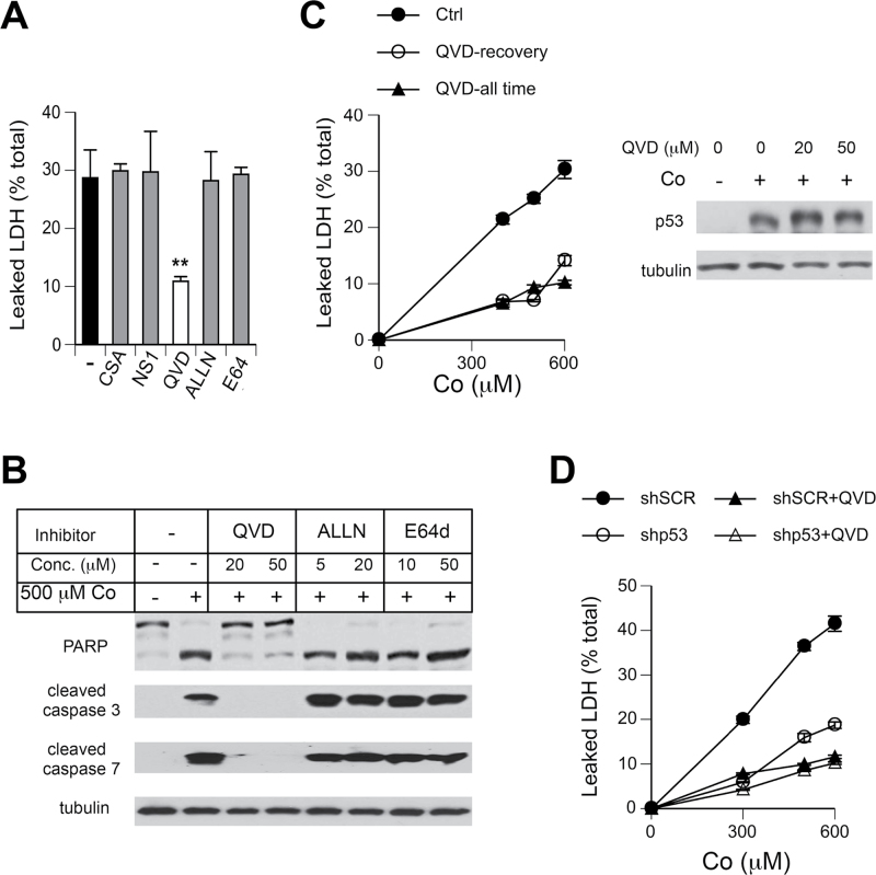 FIG. 6.