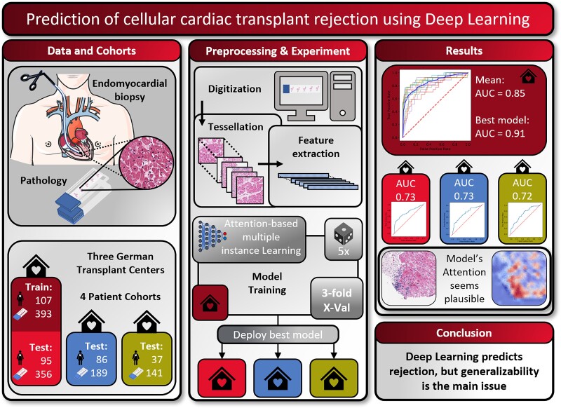 Graphical Abstract