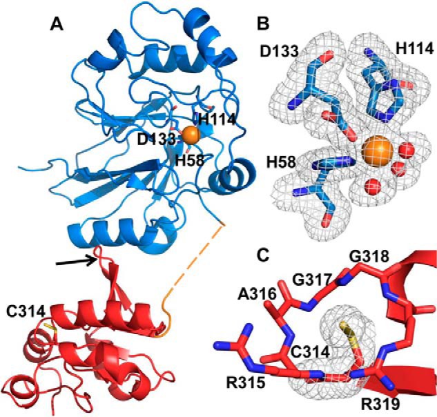 Figure 2.