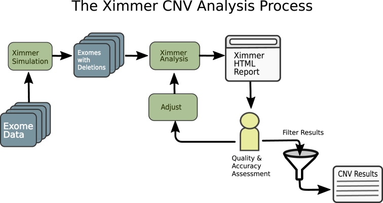 Figure 1: