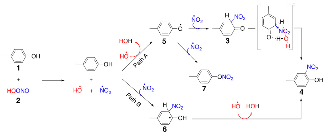 Scheme 2