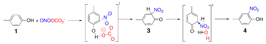 Scheme 3