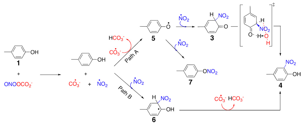 Scheme 4