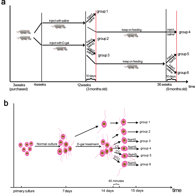 Fig. S1