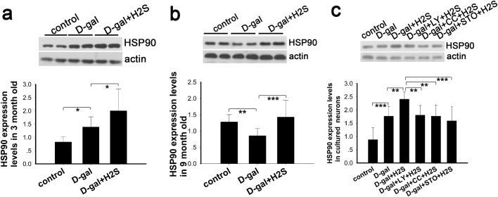 Fig. 8.