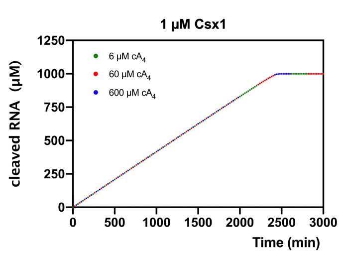 Figure 6—figure supplement 1.