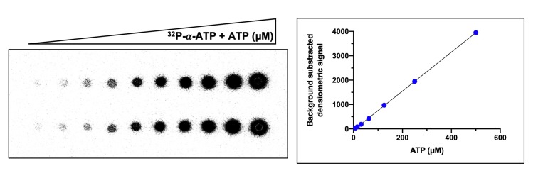 Figure 2—figure supplement 1.