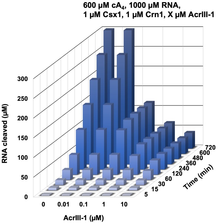 Figure 6—figure supplement 3.