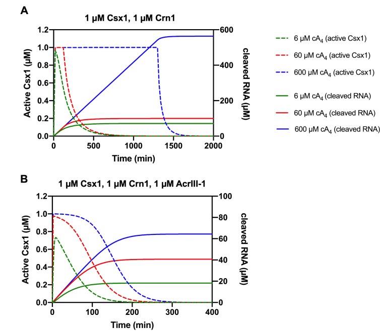 Figure 6—figure supplement 2.