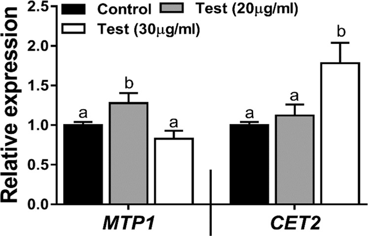 Figure 13