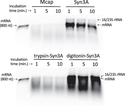 Figure 7.