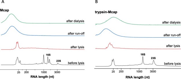 Figure 4.